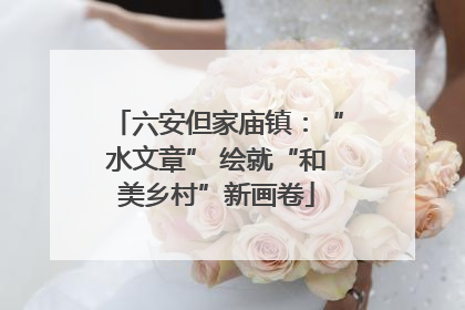 六安但家庙镇：“水文章” 绘就“和美乡村”新画卷