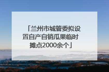 兰州市城管委拟设置自产自销瓜果临时摊点2000余个
