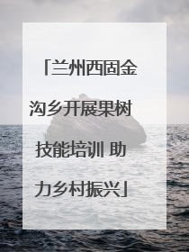 兰州西固金沟乡开展果树技能培训 助力乡村振兴