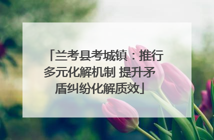 兰考县考城镇：推行多元化解机制 提升矛盾纠纷化解质效