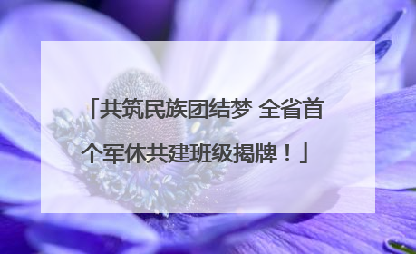 共筑民族团结梦 全省首个军休共建班级揭牌！