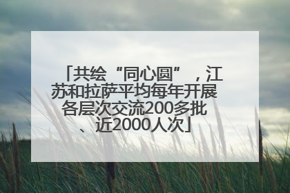 共绘“同心圆”，江苏和拉萨平均每年开展各层次交流200多批、近2000人次