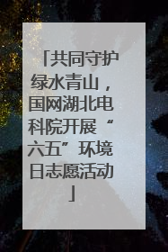 共同守护绿水青山，国网湖北电科院开展“六五”环境日志愿活动