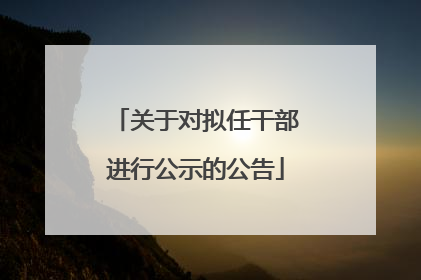 关于对拟任干部进行公示的公告