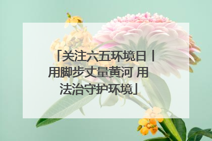 关注六五环境日丨用脚步丈量黄河 用法治守护环境