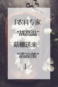 农科专家“战高温” 菇棚送来“清凉策”