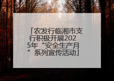 农发行临湘市支行积极开展2025年“安全生产月”系列宣传活动