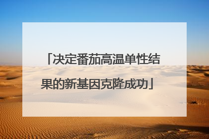 决定番茄高温单性结果的新基因克隆成功