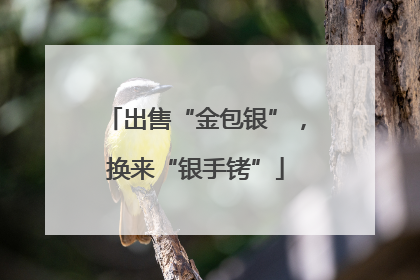 出售“金包银”，换来“银手铐”