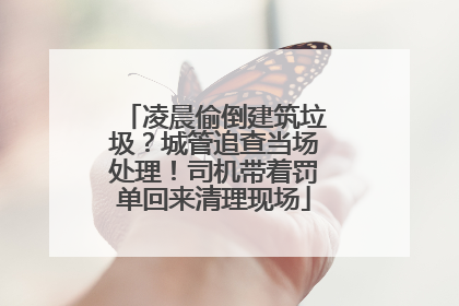 凌晨偷倒建筑垃圾？城管追查当场处理！司机带着罚单回来清理现场