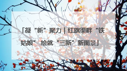 凝“新”聚力｜红旗渠畔“铁姑娘” 绘就“三新”新图景