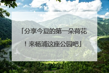 分享今夏的第一朵荷花！来杨浦这座公园吧