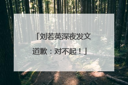 刘若英深夜发文道歉：对不起！