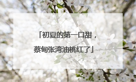 初夏的第一口甜，蔡甸张湾油桃红了