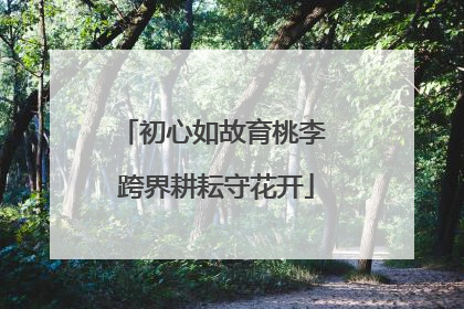 初心如故育桃李 跨界耕耘守花开