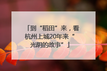 到“稻田”来，看杭州上城20年来“光阴的故事”