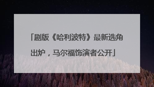 剧版《哈利波特》最新选角出炉，马尔福饰演者公开