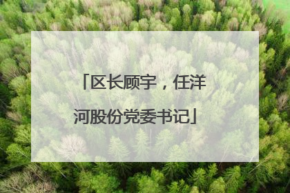 区长顾宇，任洋河股份党委书记