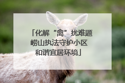 化解“禽”扰难题 崂山执法守护小区和谐宜居环境