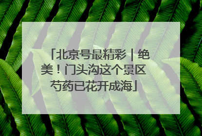北京号最精彩｜绝美！门头沟这个景区芍药已花开成海