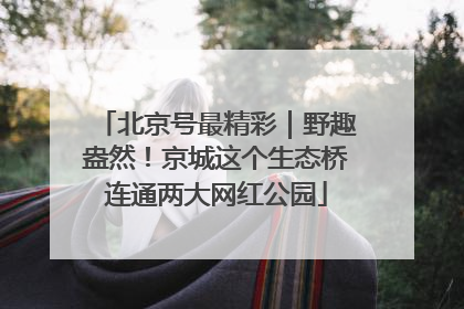 北京号最精彩｜野趣盎然！京城这个生态桥连通两大网红公园