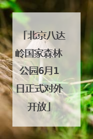 北京八达岭国家森林公园6月1日正式对外开放