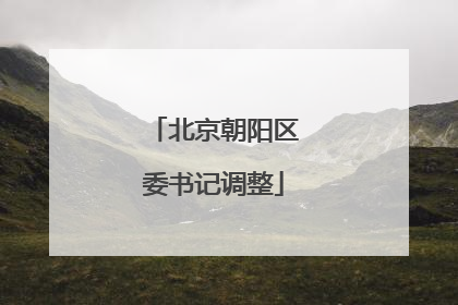北京朝阳区委书记调整