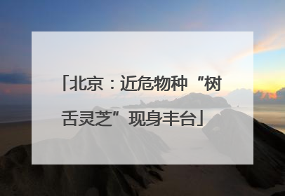 北京：近危物种“树舌灵芝”现身丰台