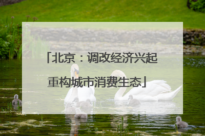 北京：调改经济兴起 重构城市消费生态