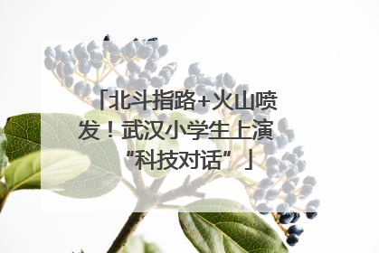 北斗指路+火山喷发！武汉小学生上演“科技对话”