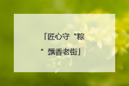 匠心守“粽”飘香老街