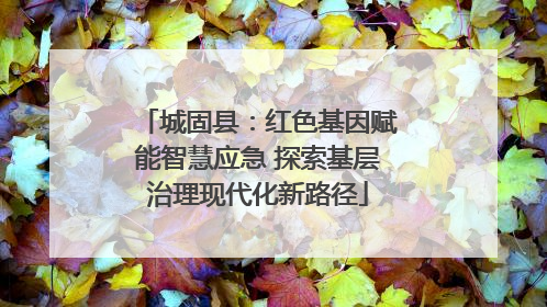 城固县：红色基因赋能智慧应急 探索基层治理现代化新路径