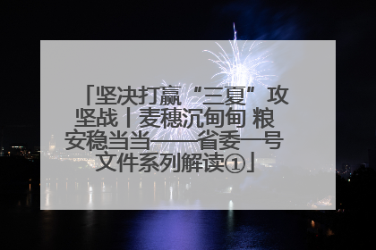 坚决打赢“三夏”攻坚战丨麦穗沉甸甸 粮安稳当当——省委一号文件系列解读①