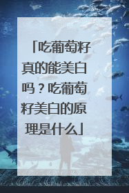 吃葡萄籽真的能美白吗？吃葡萄籽美白的原理是什么