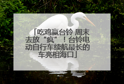 吃鸡赢台铃 周末去放“疯”！台铃电动自行车续航最长的车亮相海口