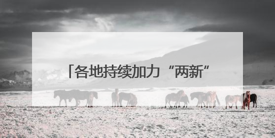 各地持续加力“两新”政策 释放消费潜力