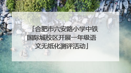 合肥市六安路小学中铁国际城校区开展一年级语文无纸化测评活动