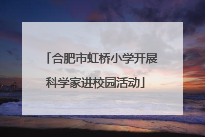 合肥市虹桥小学开展科学家进校园活动