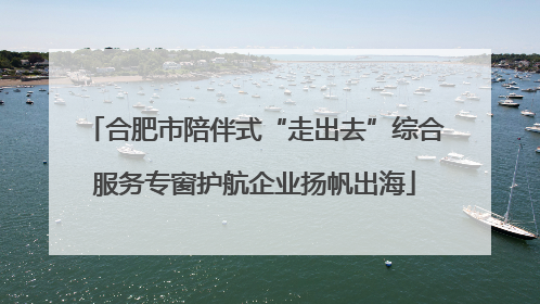 合肥市陪伴式“走出去”综合服务专窗护航企业扬帆出海