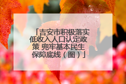 吉安市积极落实低收入人口认定政策 兜牢基本民生保障底线（图）