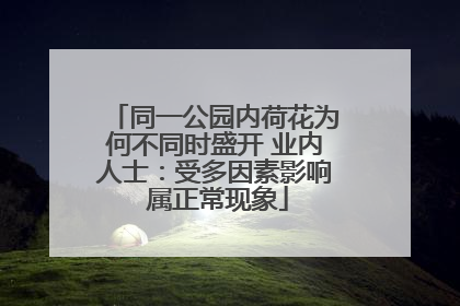 同一公园内荷花为何不同时盛开 业内人士：受多因素影响 属正常现象