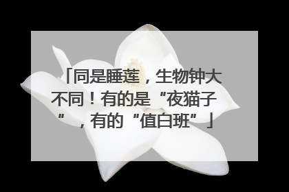 同是睡莲，生物钟大不同！有的是“夜猫子”，有的“值白班”