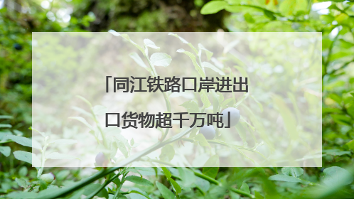 同江铁路口岸进出口货物超千万吨