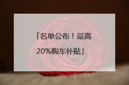 名单公布！最高20%购车补贴