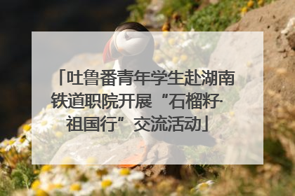 吐鲁番青年学生赴湖南铁道职院开展“石榴籽·祖国行”交流活动