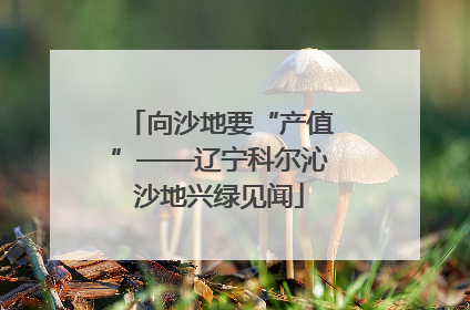 向沙地要“产值”——辽宁科尔沁沙地兴绿见闻