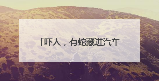吓人，有蛇藏进汽车引擎盖！北京9天接9起“蛇警”……