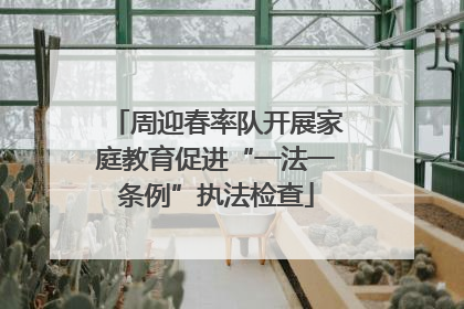 周迎春率队开展家庭教育促进“一法一条例”执法检查