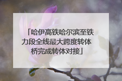 哈伊高铁哈尔滨至铁力段全线最大跨度转体桥完成转体对接