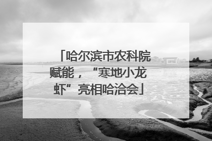 哈尔滨市农科院赋能，“寒地小龙虾”亮相哈洽会